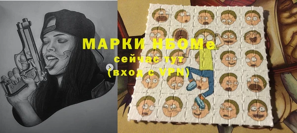 хмурый Абаза